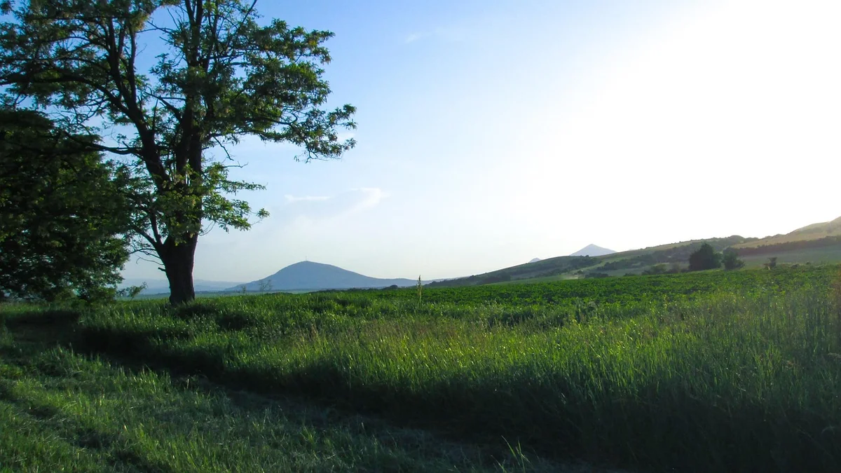 Your Website as a Sales Engineer, Not a Brochure