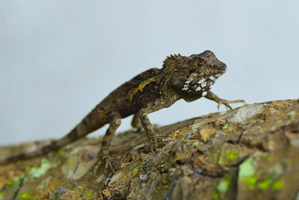 The First Rule: Secrecy Before Anything Else